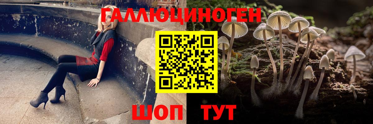 Псилоцибиновые грибы мухоморы Ростов-на-Дону